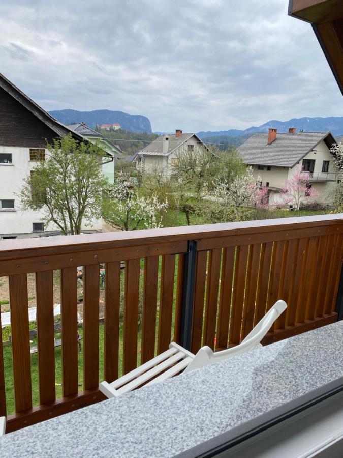 Hisa Visnar Apartment