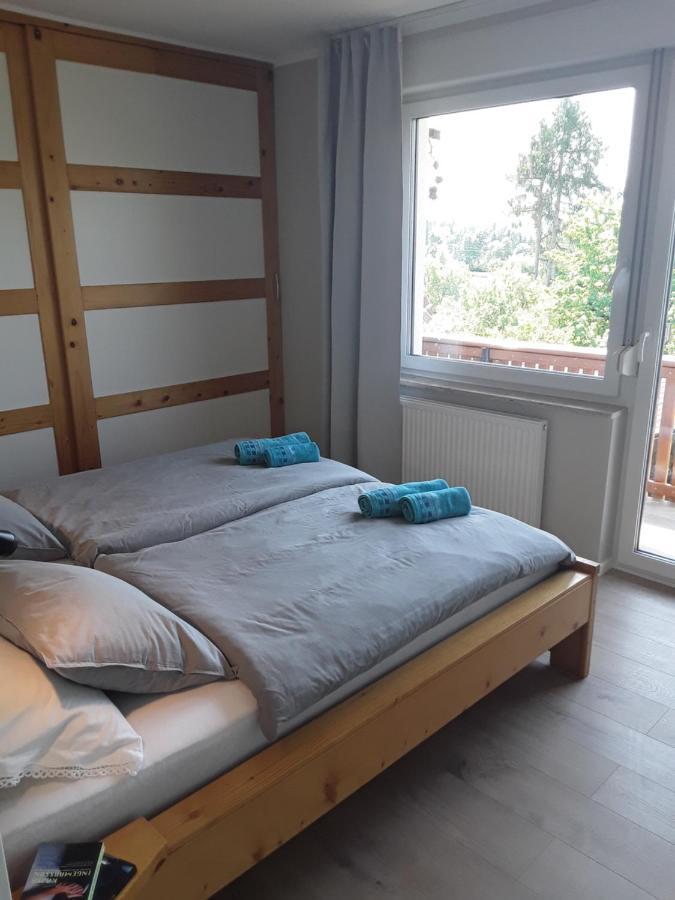 Hisa Visnar Apartment *